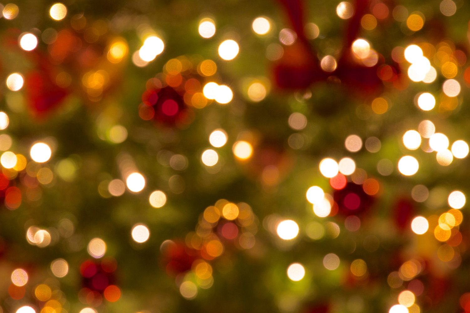 Holiday Lights